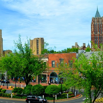 Yale in the Summer